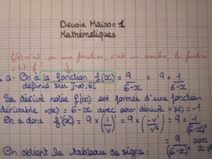 Devoir de maths 1 : ne pas &eacute;crire "la fonction f(x)..."