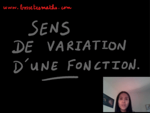 Sens de variation d&rsquo;une fonction [Vidéo](Seconde)